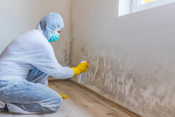 Crawl Space Mold Remediation treatment of floor joists in West Palm Beach